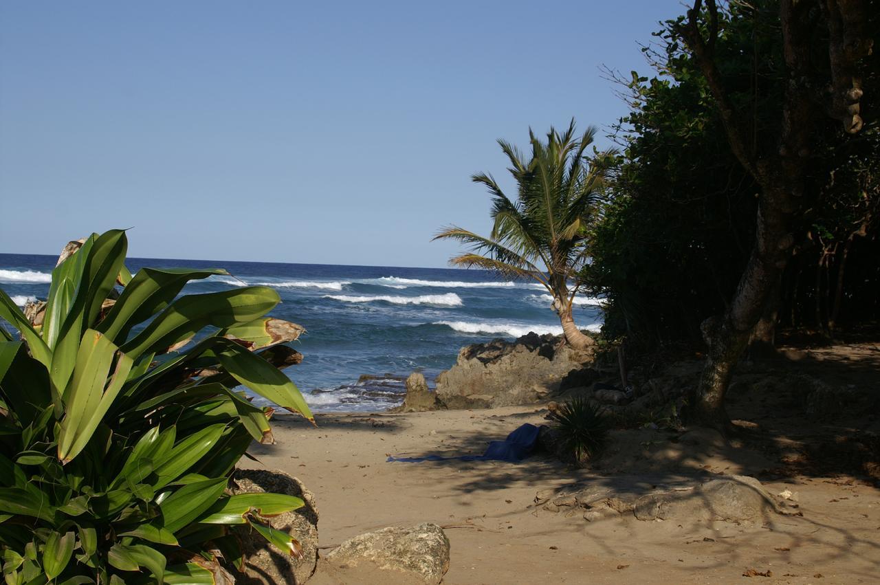 Apartment Playa Encuentro Cabarete Exterior photo